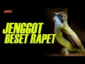 Download Lagu MASTERAN CUCAK JENGGOT GACOR SUPER BESETAN KASAR