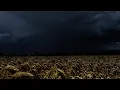 Download Lagu The Last Thunderstorm | End of the Summer | Calm Before the Storm | 3 HOURS