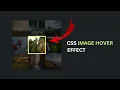 CSS Image Hover Effects Tutorial Hover Effect CSS