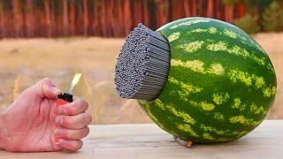EXPERIMENT: A lot of Sparklers vs Watermelon
