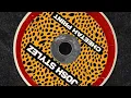 Drake ft Sexyy Red Cheetah Print (Josh Stylez Remix)
