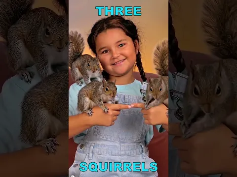 🐿️🌻 Let’s Count the Squirrels Coming for the Seeds! #shorts #kids