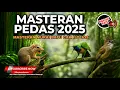 Download Lagu Kompilasi Masteran Cucak Cungkok Super Gacor Isian Bajing Kekes Kunti dan Cucak Jenggot Mesin Jahit