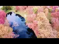 Elgin Illinois lords park at peak color