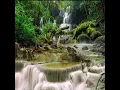 Download Lagu tembakan rapat durasi pendek pas buat isian murai..