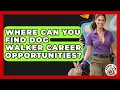 Where Can You Find Dog Walker Career Opportunities - Animal Care Jobs