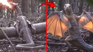 Something DISTURBING Was Discovered In The Amazon Jungle… And Nobody Is Talking About It!