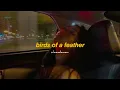 Lagu billie eilish - birds of a feather (slowed + reverb)