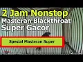 Download Lagu 2 Jam Nonstop Full Masteran Blackthroat Super Gacor Bocor Dor