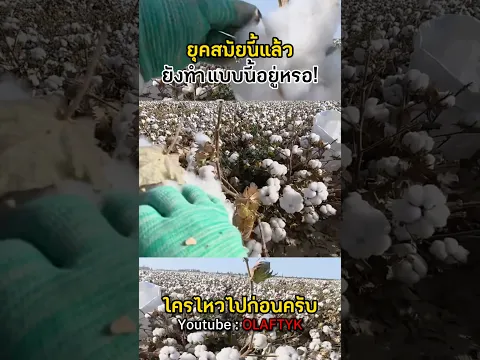 ยุคนี้แล้ว ทำไมยังต้องนั่งใช้มือเก็บสิ่งนี้อยู่อีก?! #shorts
