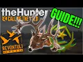 How to DOMINATE the Whitetail Grind on Revontuli Coast Step-by-Step Guide