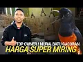 Download Lagu TERCIDUK ! TOP OWNER MURAI BATU GACORAN HARGA SUPER MIRING DI TANJUNG PRIUK JAKARTA UTARA 