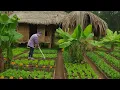 Download Lagu Van wees tot sterk: het meisje dat haar eigen moestuin kweekt