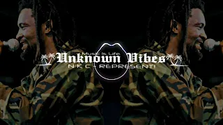 lucky dube other side remix dj baakz 2023 