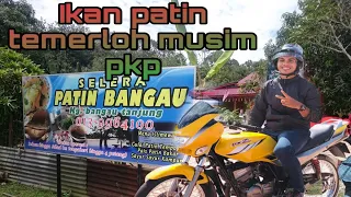 Download RIDE SANTAI KE TEMERLOH || IKAN PATIN BANGAU MP3