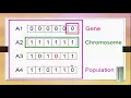 Genetic Algorithm and Evolution in nature urdu hindi genetic algorithm tutorial in urdu AI 14