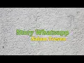 Lagu Story WA ||  Salam Tresno ||  Whatsapp 30 detik