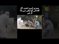 Download Lagu Out Of Control Cow Qurbani On Eid ul Adha Funny Comedy Video By Rizwan Comedy #rizwancomedy