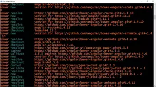 Course Using the Web Speech API with AngularJS