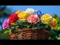 Download Lagu Music fills the body and soul with harmony 🌺 I've been listening for three months 🌿 Sergey Grischuk