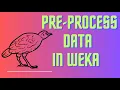 Preprocessing Data in Weka