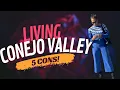 Conejo Valley Reality Check What Nobody Tells You