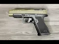 Swapping trigger shoe - micro dagger C1 PSA