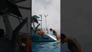 One of the coolest things about living on a boat??