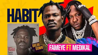 fameye ft medikal habit a reaction
