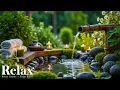 Download Lagu Relaxing Music \u0026 Water Sounds for Meditation 🌿 Calming Music with Nature Sounds, Spa, Relax