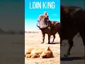 Download Lagu 😂The lion king spoof video #funnyvideo .timon and Pumba