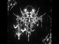 FOREGROUND - LONOWN & riserayss