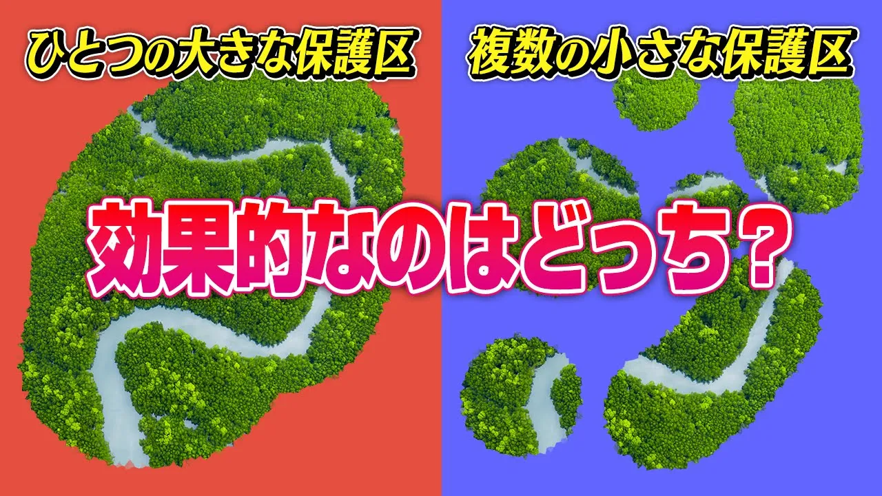 自然保護区を作るなら、どのサイズが効果的?【SLOSS論争1】#78