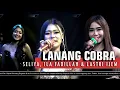 Download Lagu LANANG COBRA - SELIYA, ILA FADILLAH \u0026 LASTRI IJEM