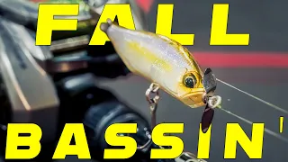 Underspin vs Swimbait : The Truth About Fall Bass Fishing!