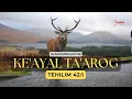 Download Lagu KE'AYAL TA'AROG כְּאַיָּל, תַּעֲרֹג | LIRIK LAGU BAHASA IBRANI DAN INDONESIA | MAZMUR TEHILIM