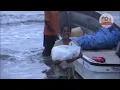 【幻の巨大生物】宝石の海で世界最大のカメ・オサガメを探せ！産卵シーンの撮影に成功した貴重映像【どうぶつ奇想天外／WAKUWAKU】