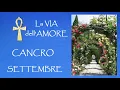 Download Lagu CANCRO 🍇Lasciare il VECCHIO per far spazio al NUOVO 🍇AMORE SETTEMBRE 2025