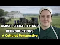 Amish Sexuality and Reproduction A Cultural Perspective