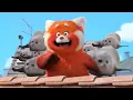 Bouncing Seals in Turning Red