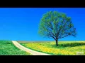 Download Lagu JEEVAN KE SAFAR ME RAAHI INSTRUMENTAL BY SIDDHARTH UPADHYAY