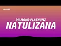 Diamond Platnumz - Natulizana (Lyrics)