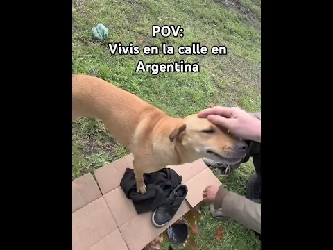 Así es vivir en la calle en Argentina 🥺