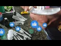 How to grow and fatten pigs quickly in 1 month, pigs that don't grow, stunted piglets, rejected pigs