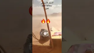 العجاج و الحرارة حال الأسواق الأسبوعية ب تنغير ورزازات الرشيدية المغرب اكسبلور الحرارة 