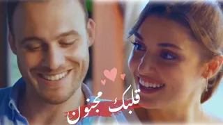 قلبك مجنون رصين اسمر اجمل اغاني حب جديد حالات واتس اب للعشاق 