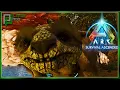 Gachas How to Tame - What they do and How to Use them