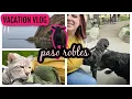 VACATION VLOG MY FAVE WINERY PETS PASO ROBLES WINE TASTING MORRO BAY BOAT CRUISE