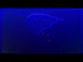 Sleep - Marijuanaut's Theme (Visualized)