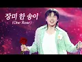 Lagu 대성-260102 Day1 【4K】  장미 한 송이 (One Rose)𝗗𝗔𝗘𝗦𝗨𝗡𝗚 𝟮𝟬𝟮𝟱 𝗔𝗦𝗜𝗔 𝗧𝗢𝗨𝗥: 𝗗’𝘀 𝗪𝗔𝗩𝗘 𝗘𝗡𝗖𝗢𝗥𝗘 -𝗦𝗘𝗢𝗨𝗟 